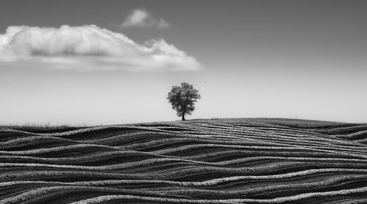 Amateur Landscape Fine Art Photography Awards 2024