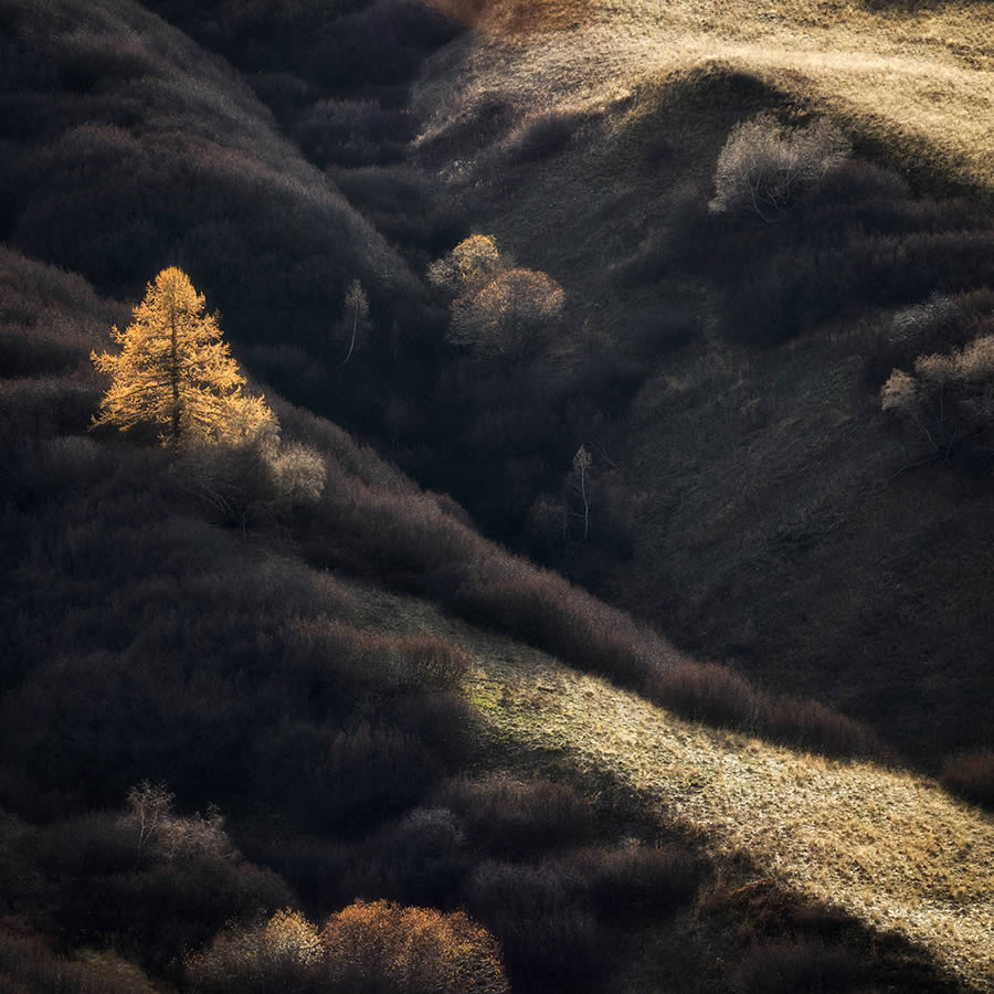 Nature Winning Photos Of Fine Art Photography Awards 2024