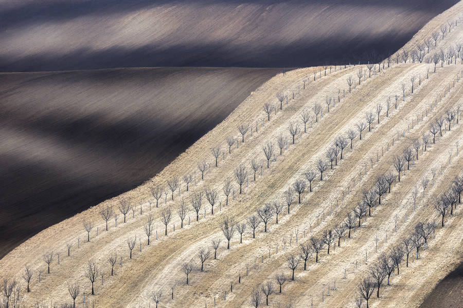 Landscape Winners Of Fine Art Photography Awards 2024