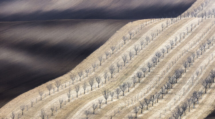 Landscape Winners Of Fine Art Photography Awards 2024