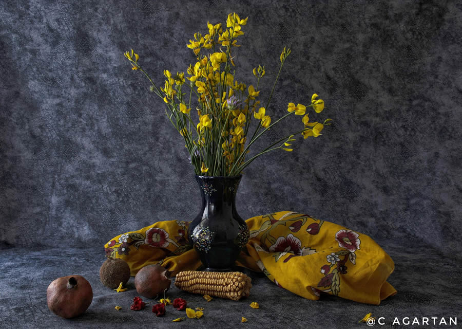 GuruShots Still Life Spotlight Photo Challenge Winners