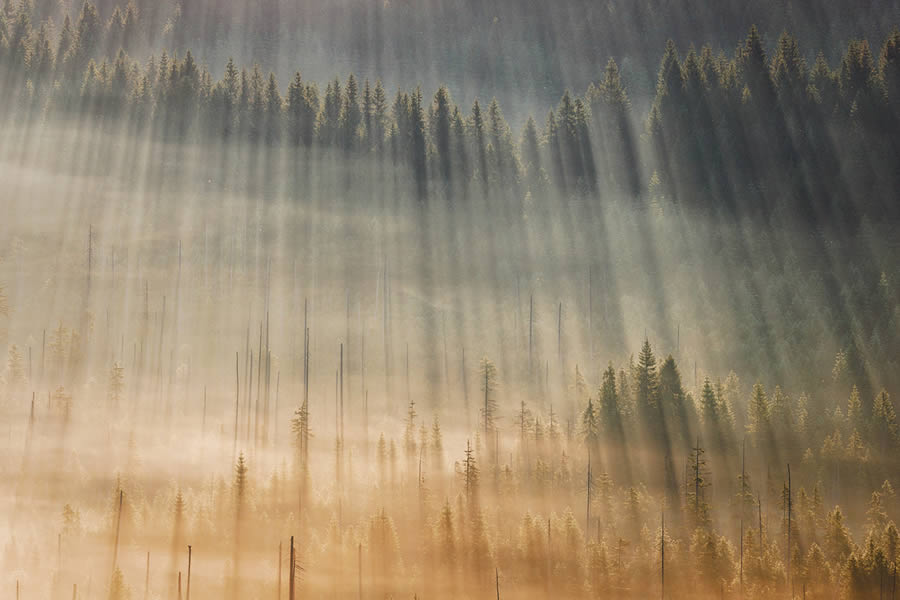 Landscape Photos Of Jizera Mountains By Martin Rak