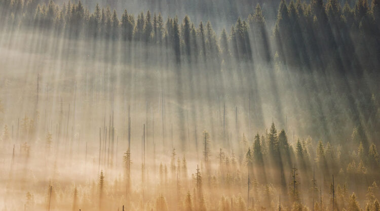 Landscape Photos Of Jizera Mountains By Martin Rak