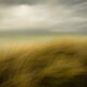 Poetic Landscape Photos In Motion By Sally Mason