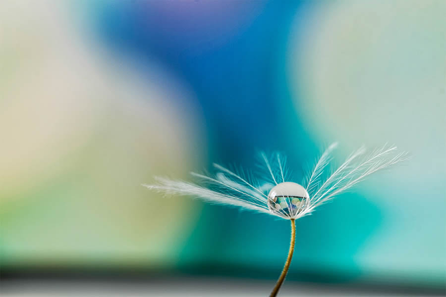 Macro Photos Of Water Drops By Antonio Pereira