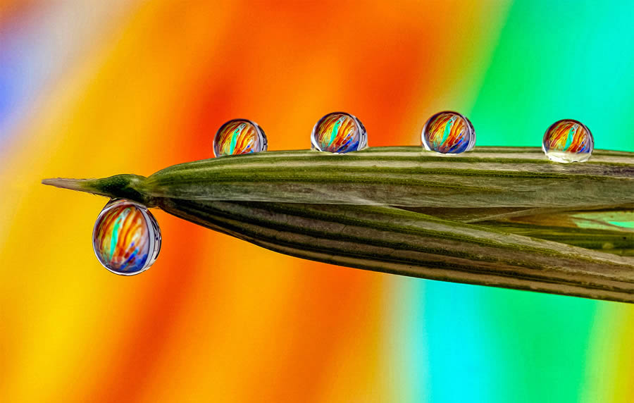 Macro Photos Of Water Drops By Antonio Pereira