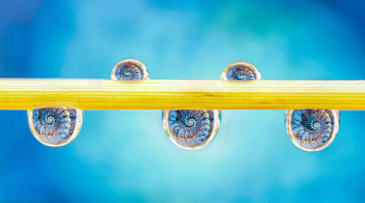 Macro Photos Of Water Drops By Antonio Pereira