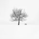 Poetic Black And White Photography By Nina Papiorek