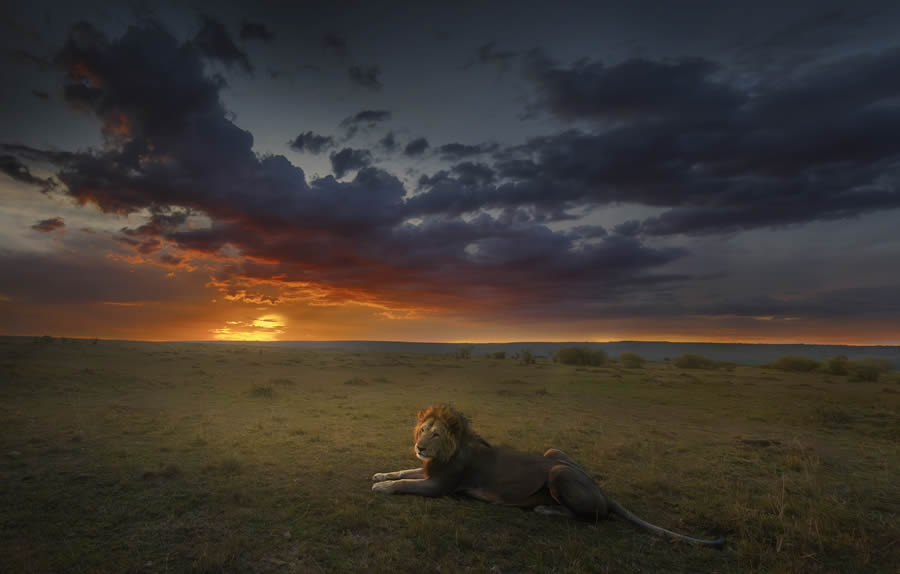 2024 Prix De La Photographie Nature Awards Winners