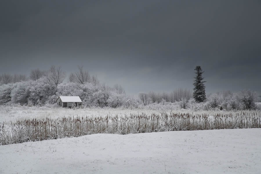 2024 Prix De La Photographie Nature Awards Winners