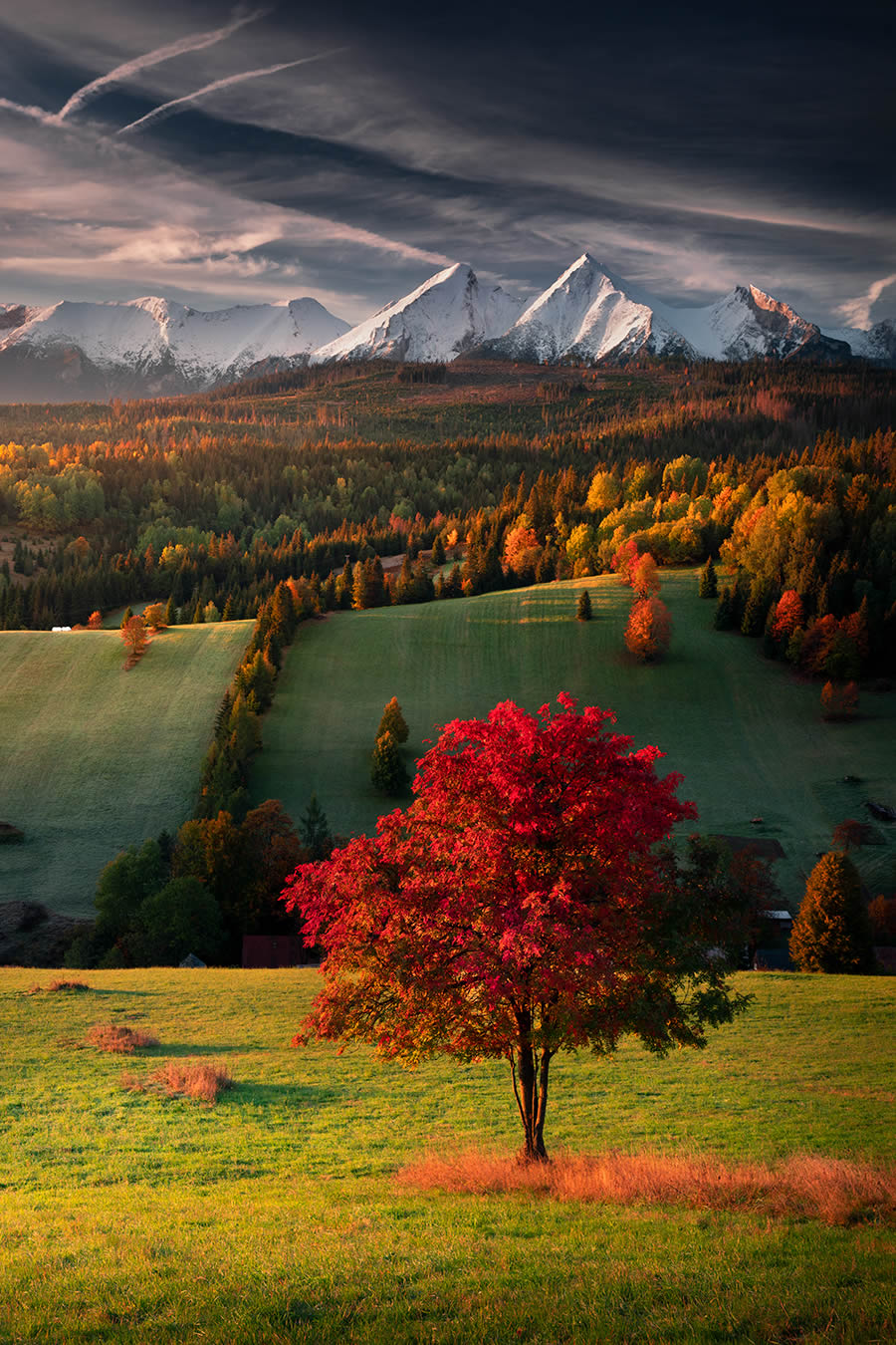 Polish Tatra Mountains Landscape Photography By Karol Nienartowicz