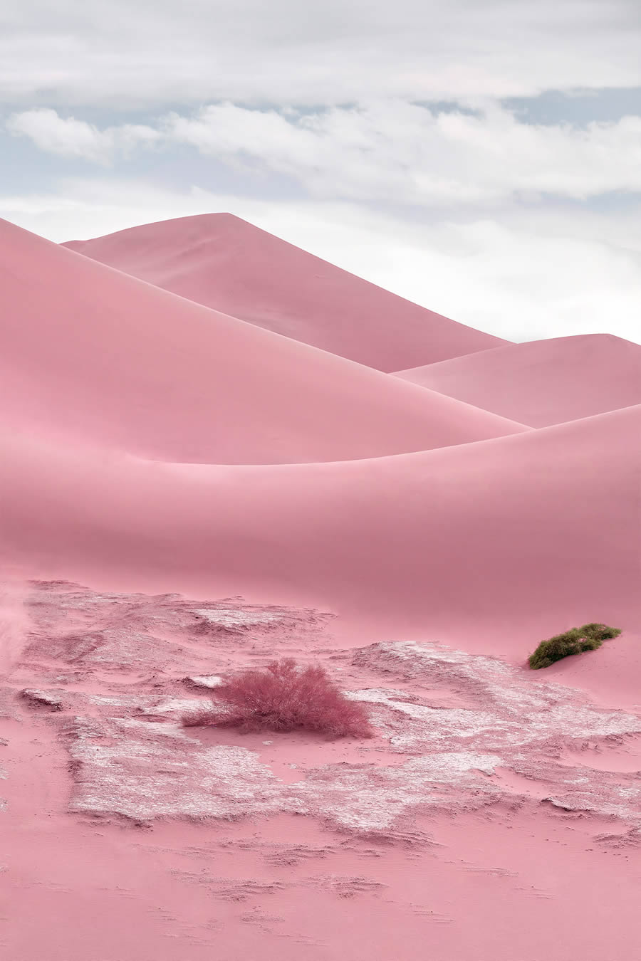 Mesmerizing Landscape Photos Of Sand Dunes By Jonas Daley