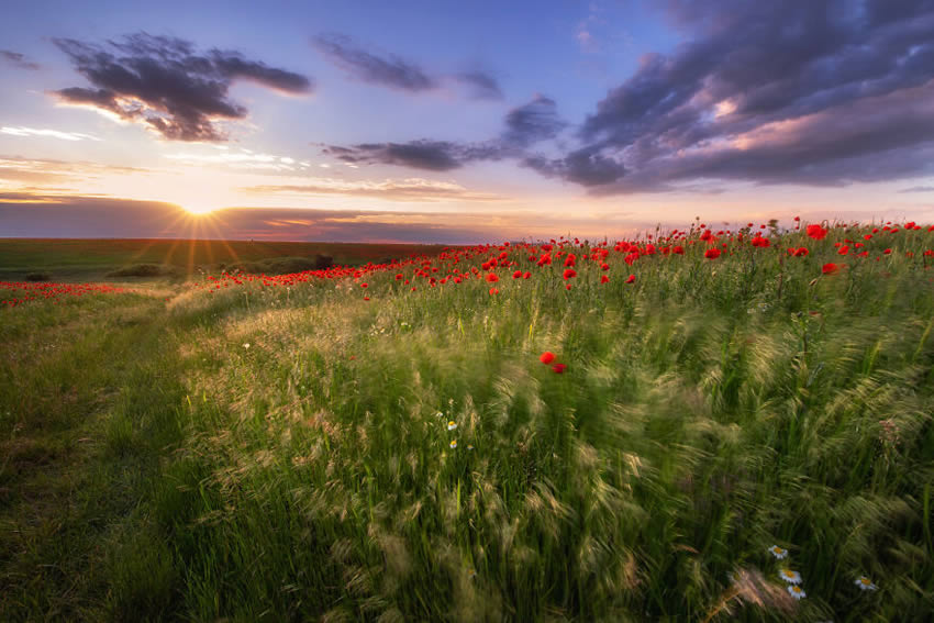 Romania in Spring By Alex Robciuc