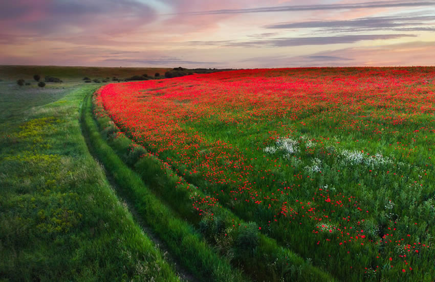 Romania in Spring By Alex Robciuc