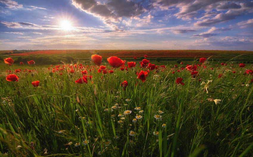 Romania in Spring By Alex Robciuc