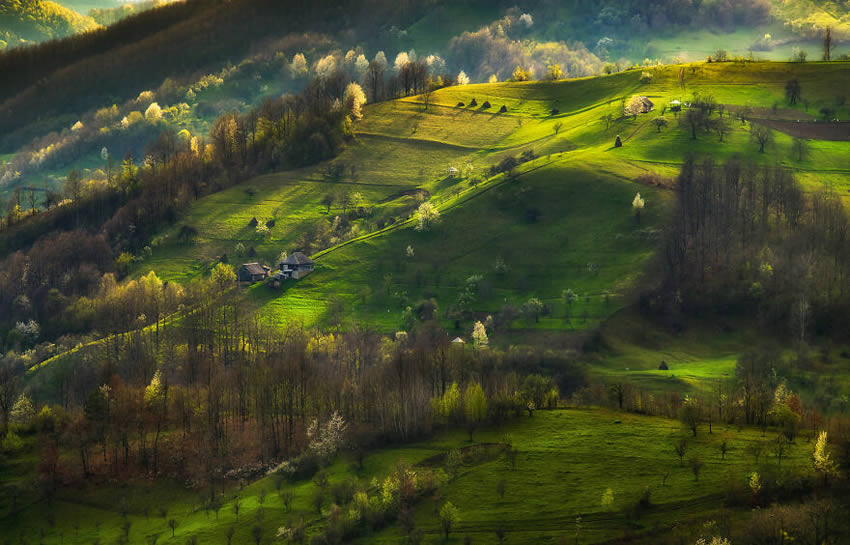 Romania in Spring By Alex Robciuc