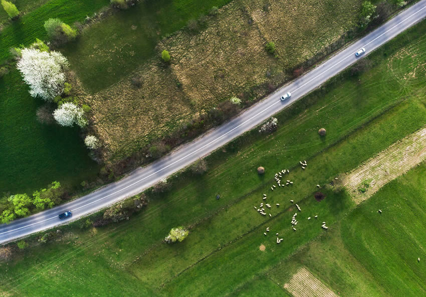 Romania in Spring By Alex Robciuc