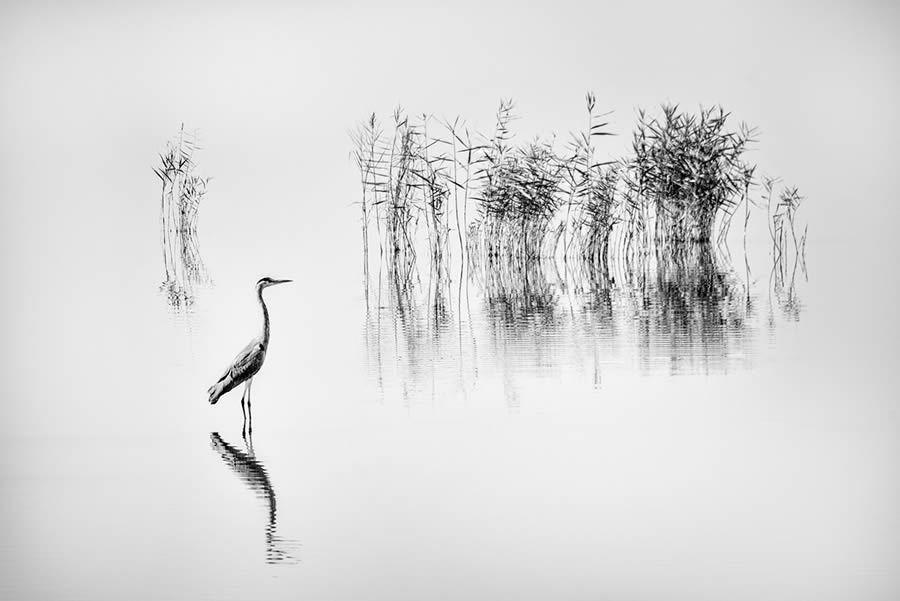 Black And White Landscape Photography By George Digalakis