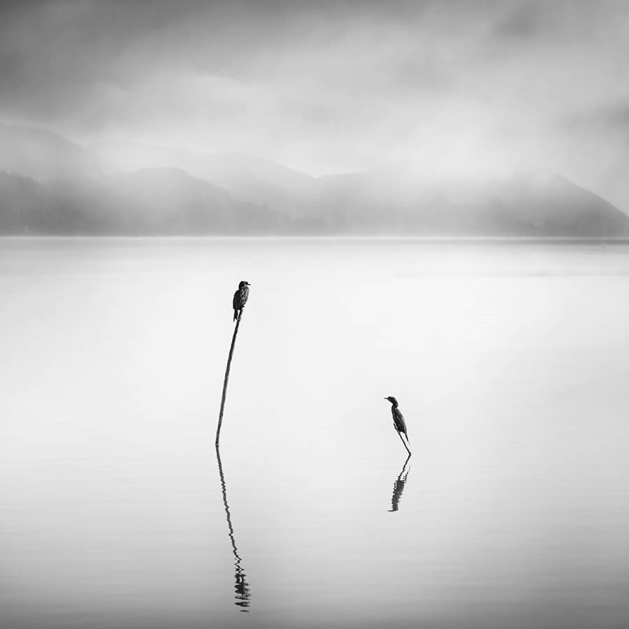 Black And White Landscape Photography By George Digalakis