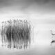 Black And White Landscape Photography By George Digalakis