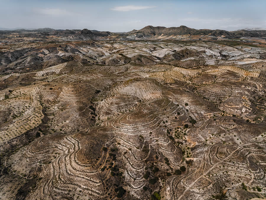 Landscape Photos Of Agricultural Fields In Central Spain By Tom Hegen