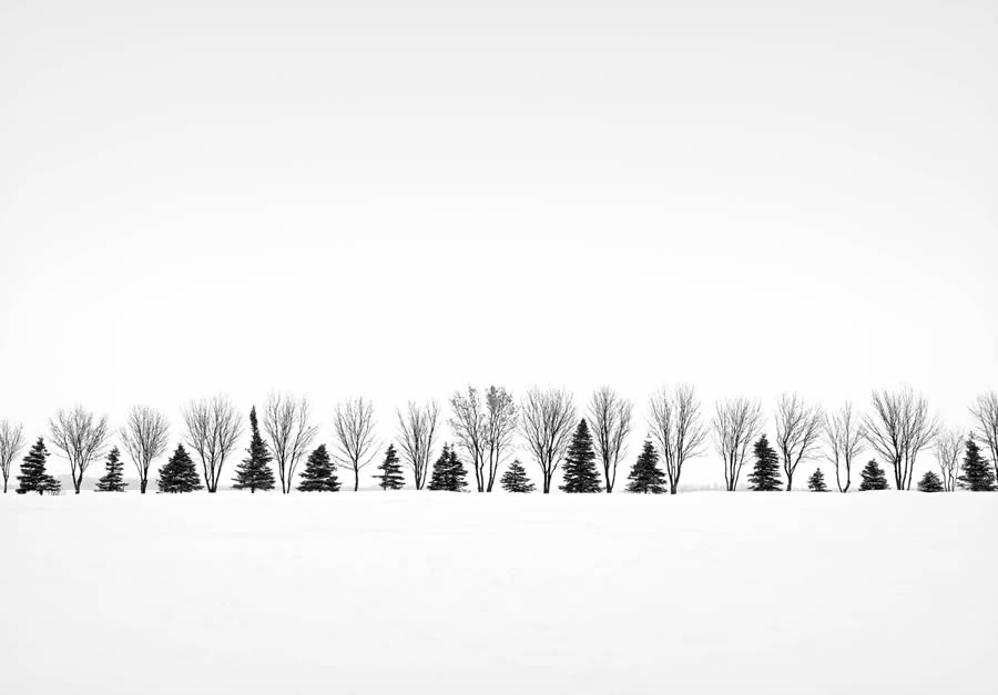 Black And White Fine Art Landscape Photography By Chuck Kimmerle