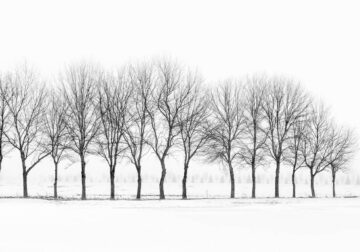 Black And White Fine Art Landscape Photography By Chuck Kimmerle