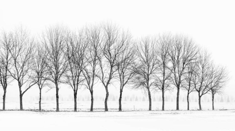 Black And White Fine Art Landscape Photography By Chuck Kimmerle