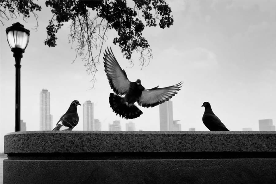 Best Black And White Street Photography International