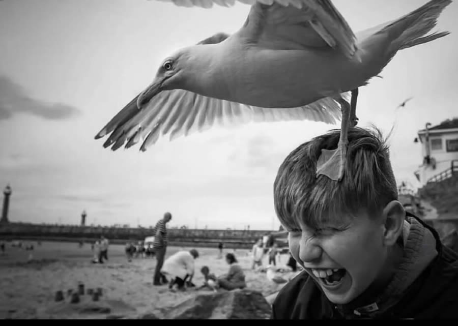 Best Black And White Street Photography International