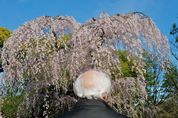 Coincidental Photos Captured Perfectly By Street Photographer Edas Wong