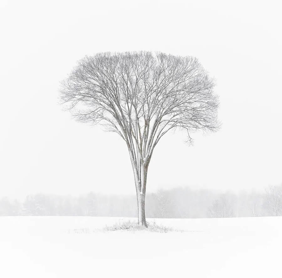 2024 Minimalist Landscape Photography Awards