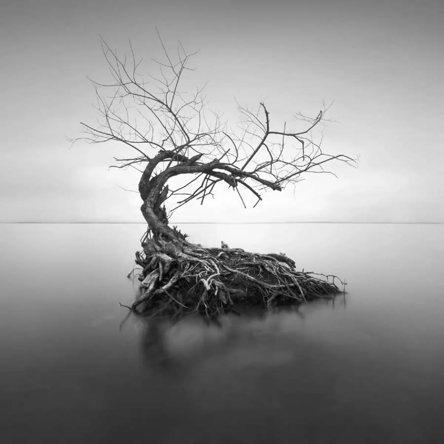 2024 Minimalist Landscape Photography Awards