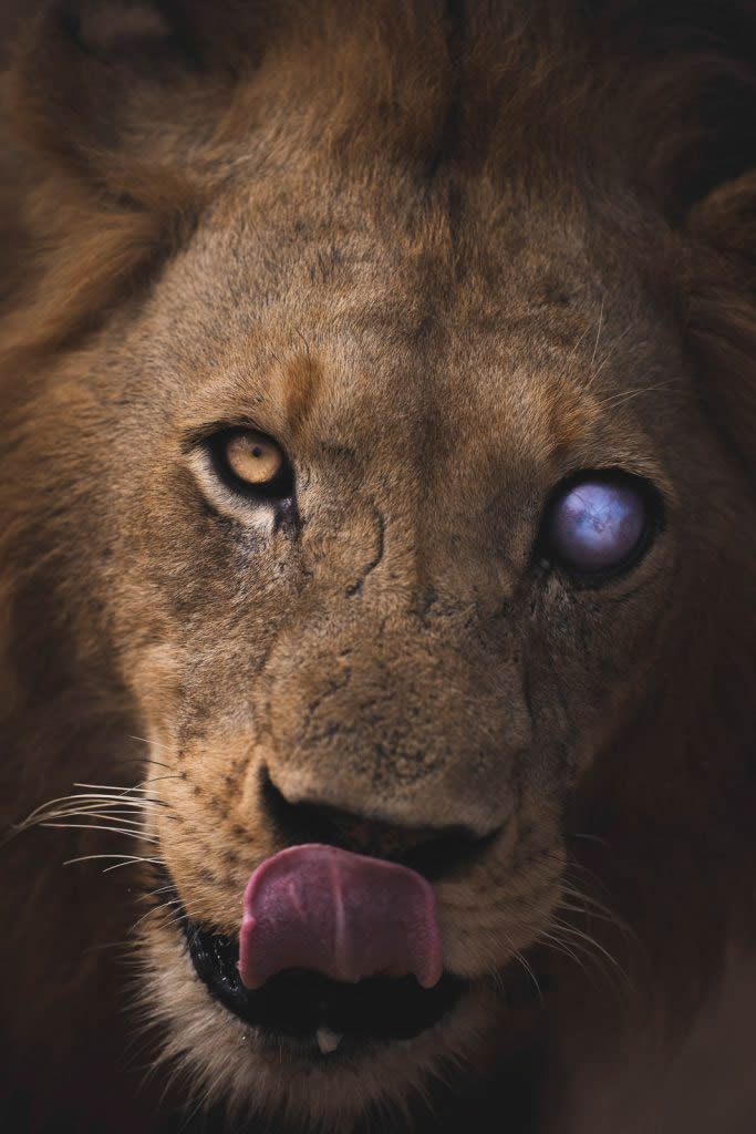 Nature TTL Photographer Of The Year 2024 Winners