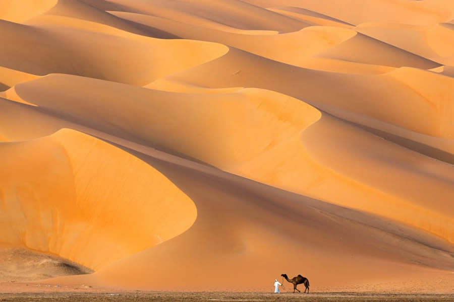 Nature TTL Photographer Of The Year 2024 Winners