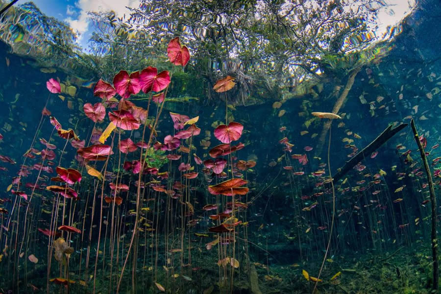 Nature TTL Photographer Of The Year 2024 Winners