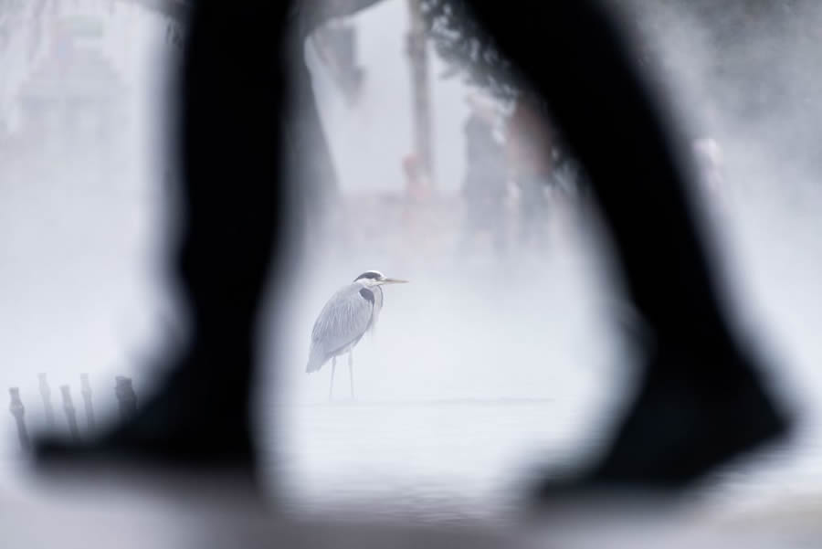 Nature TTL Photographer Of The Year 2024 Winners