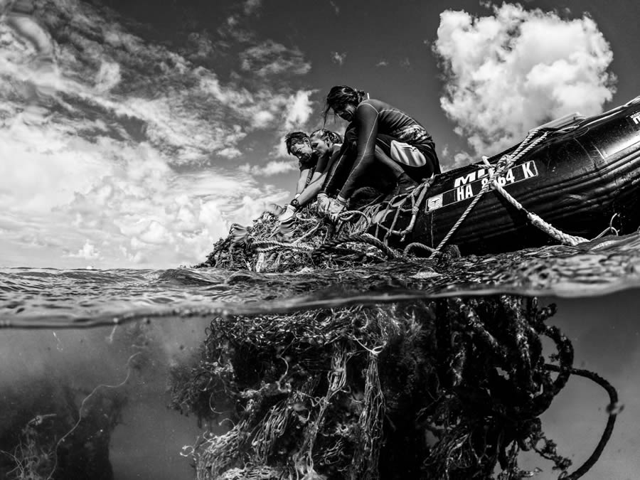 Ocean Photographer Of The Year 2024 Awards Winners