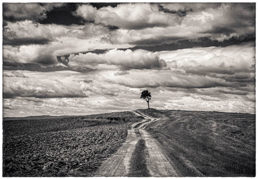 Black and White Landscapes from the 2024 reFocus Photography Awards