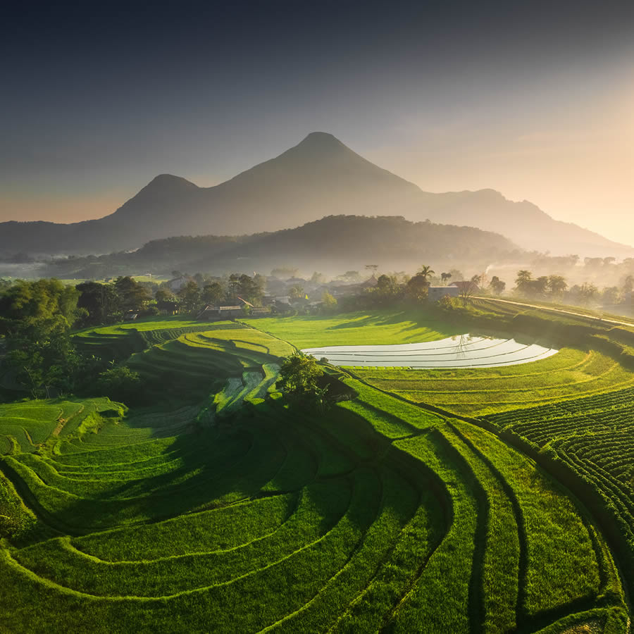 Aerial Landscape Photos Of Rice Cultivation By Aleksei Boiko