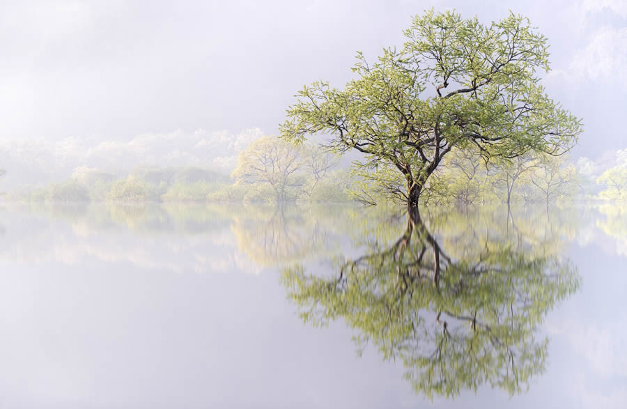 Tokyo Foto Awards Nature Photography Winners