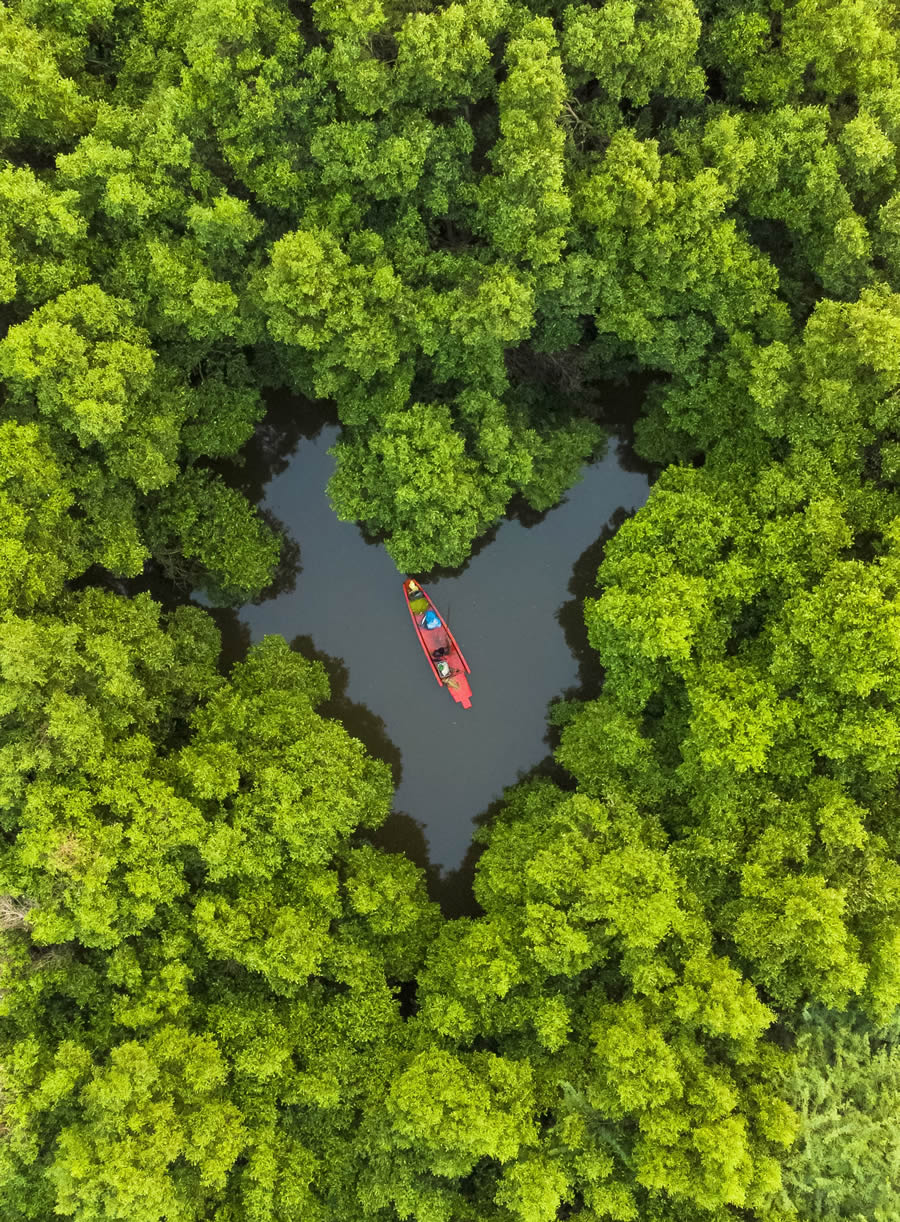 Tokyo Foto Awards Nature Photography Winners