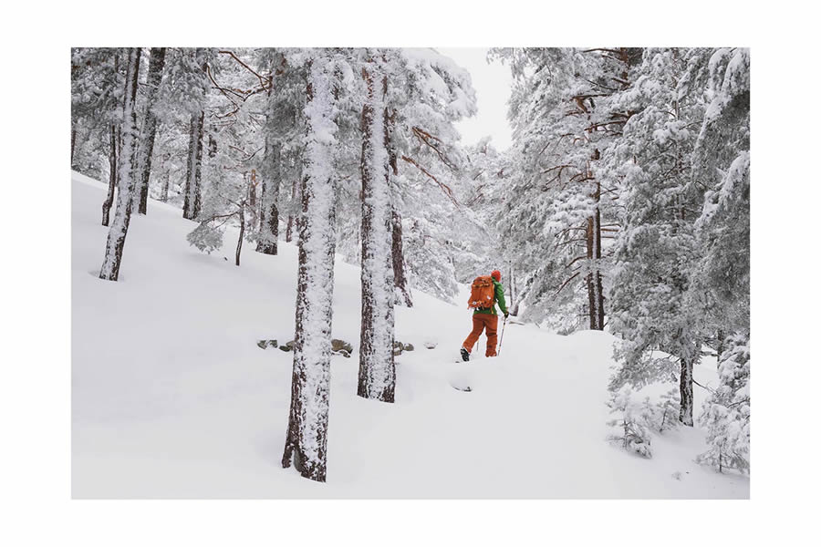 Winter Landscapes In Sierra de Guadarrama National Park, Spain By Javi Lorbada