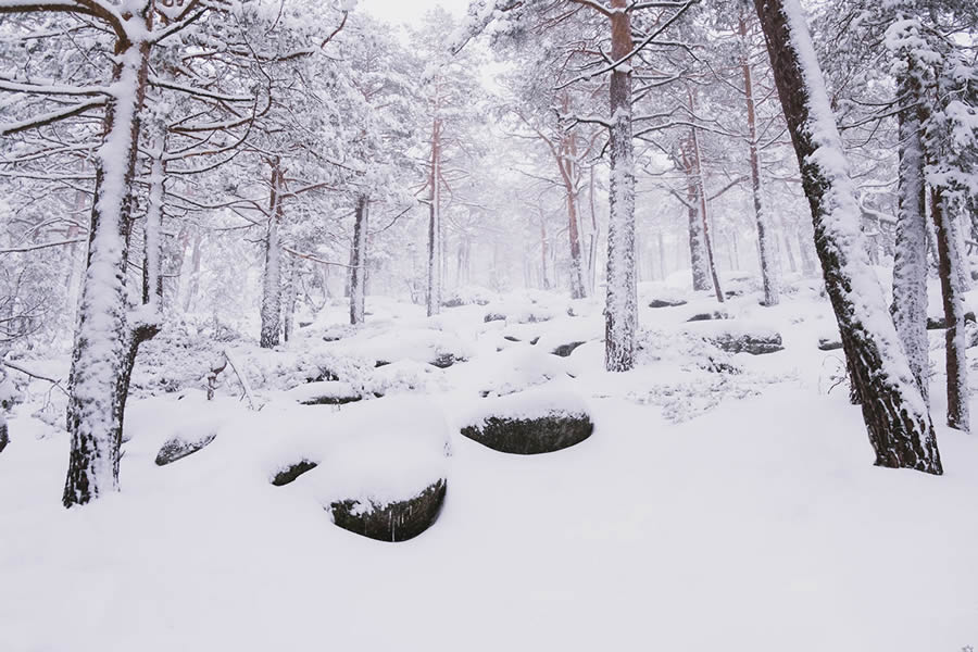 Winter Landscapes In Sierra de Guadarrama National Park, Spain By Javi Lorbada