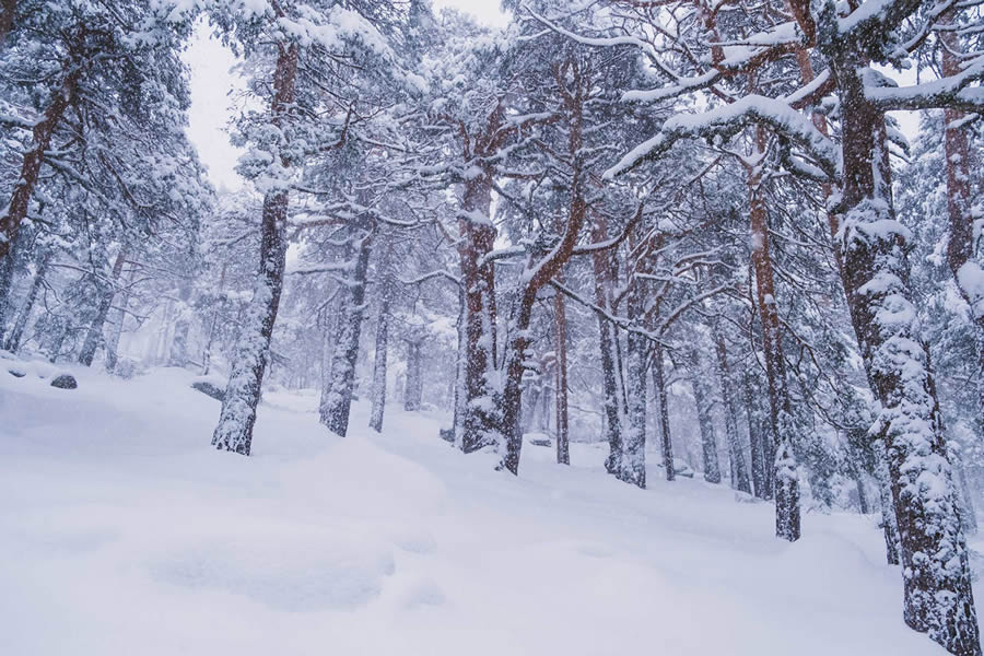 Winter Landscapes In Sierra de Guadarrama National Park, Spain By Javi Lorbada