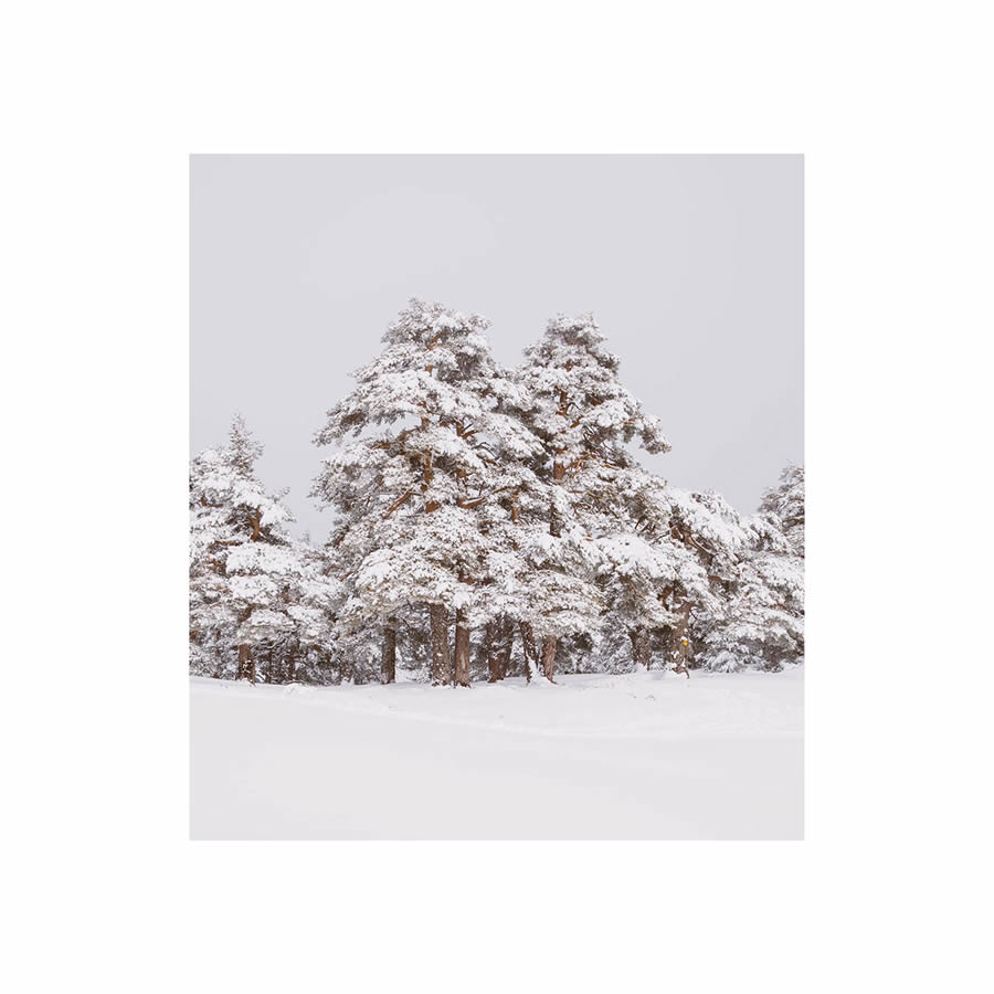 Winter Landscapes In Sierra de Guadarrama National Park, Spain By Javi Lorbada