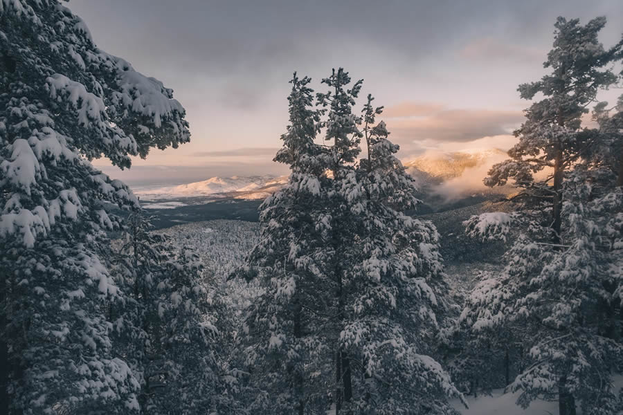 Winter Landscapes In Sierra de Guadarrama National Park, Spain By Javi Lorbada