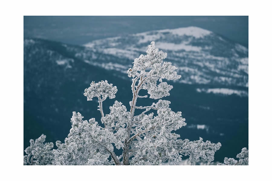 Winter Landscapes In Sierra de Guadarrama National Park, Spain By Javi Lorbada