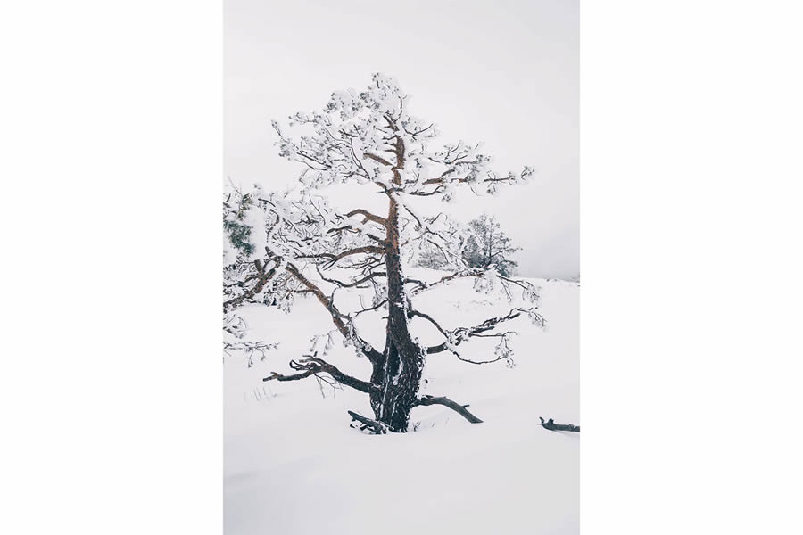 Winter Landscapes In Sierra de Guadarrama National Park, Spain By Javi Lorbada