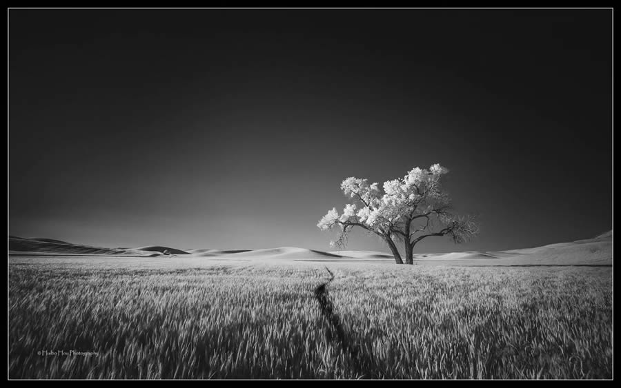 Black and White Landscape Photography by Huibo Hou